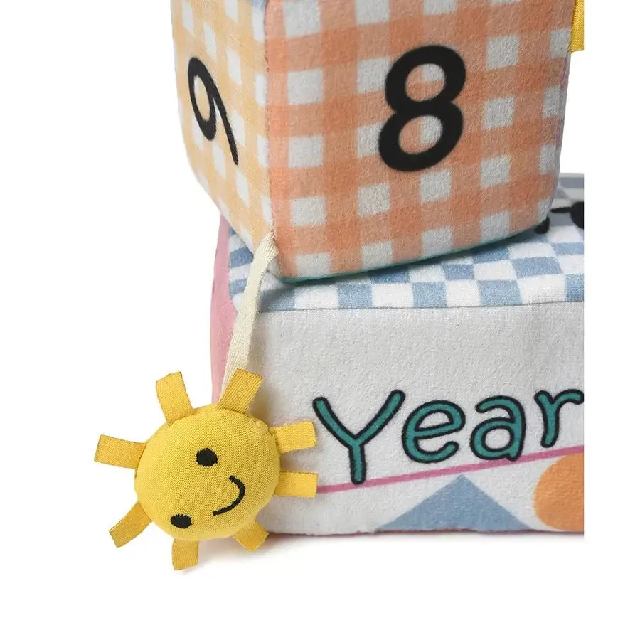 Baby Milestone Blocks Set