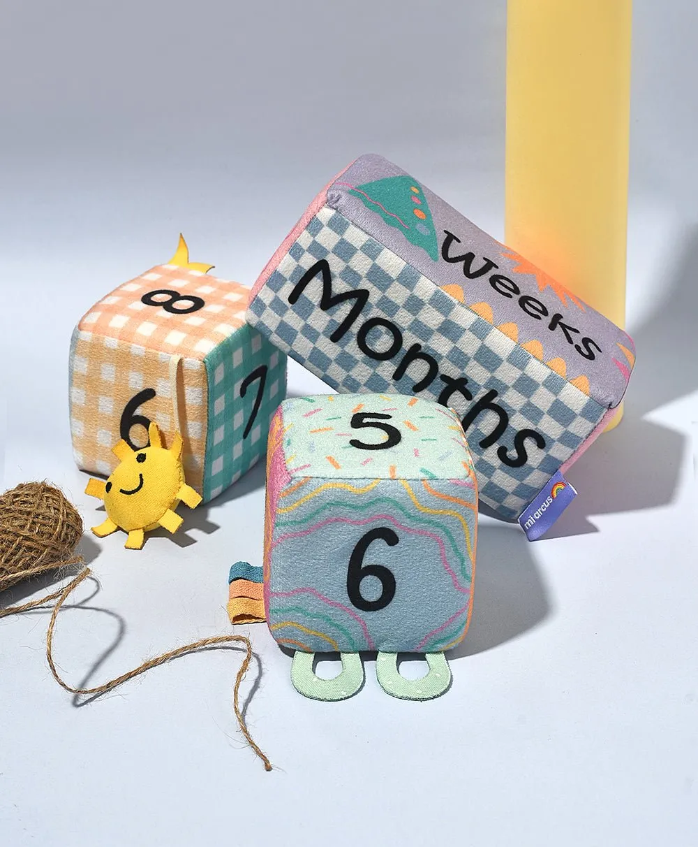 Baby Milestone Blocks Set