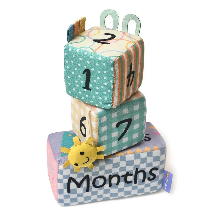 Baby Milestone Blocks Set