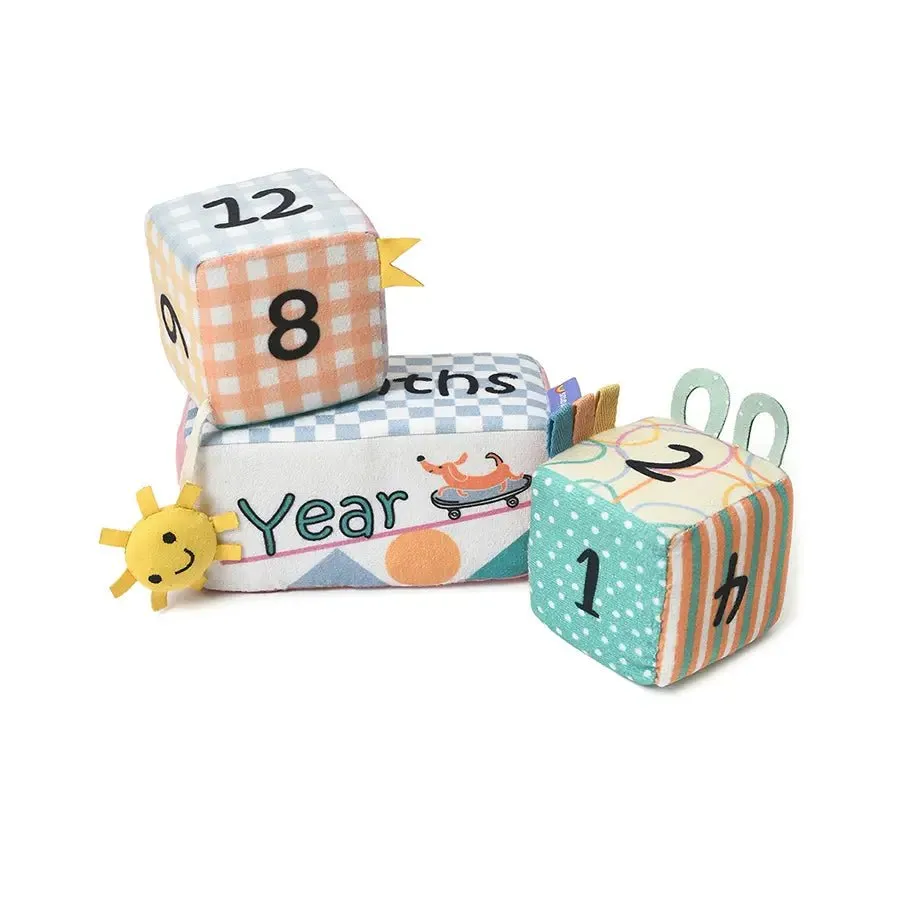 Baby Milestone Blocks Set