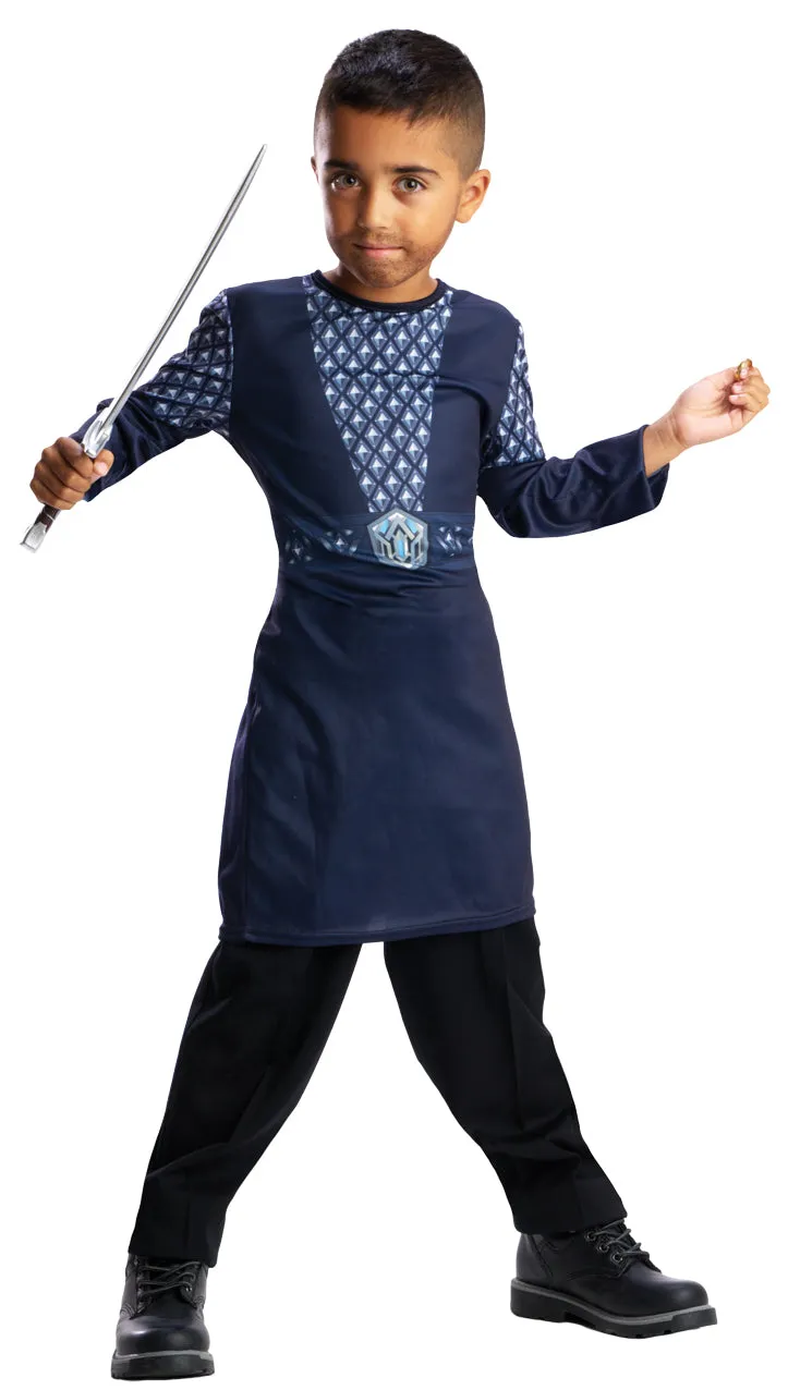 Boys Thorin Blister Set Fancy Dress Costume Fantasy Attire