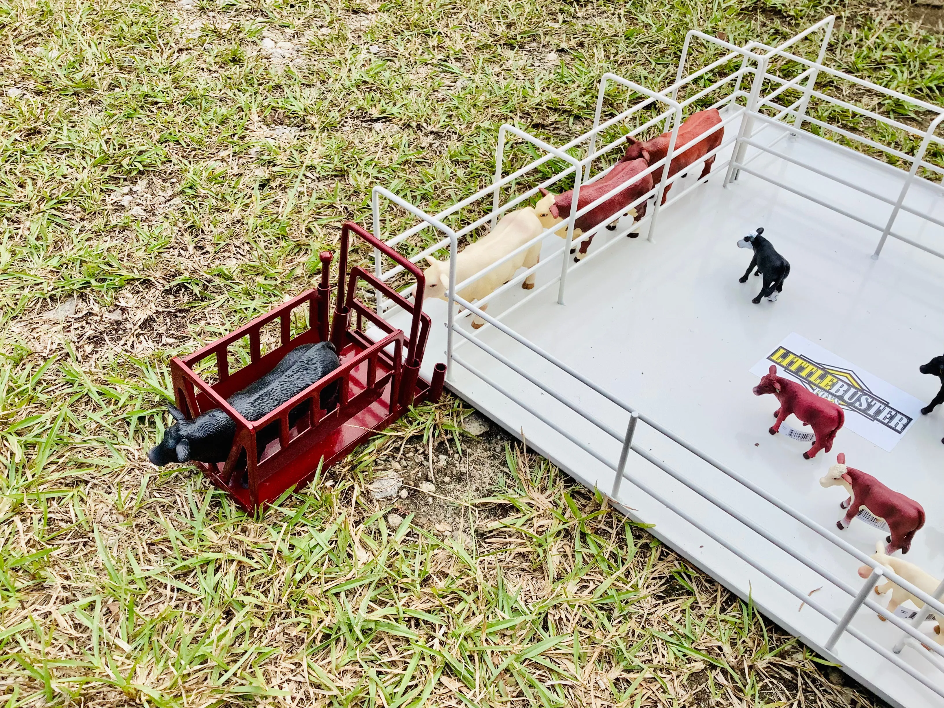 Little Buster Cattle Squeeze Chute