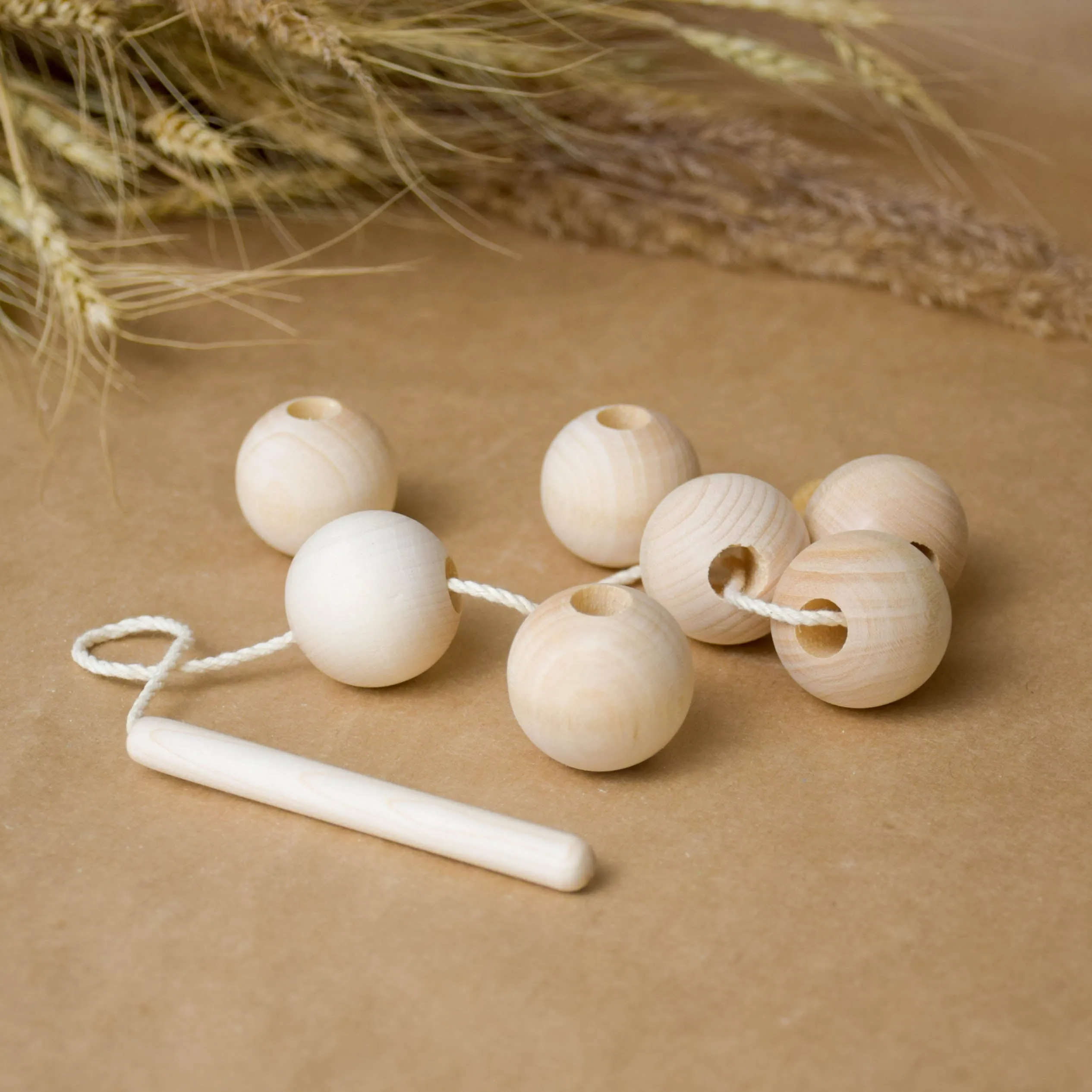 Montessori Threading Toys