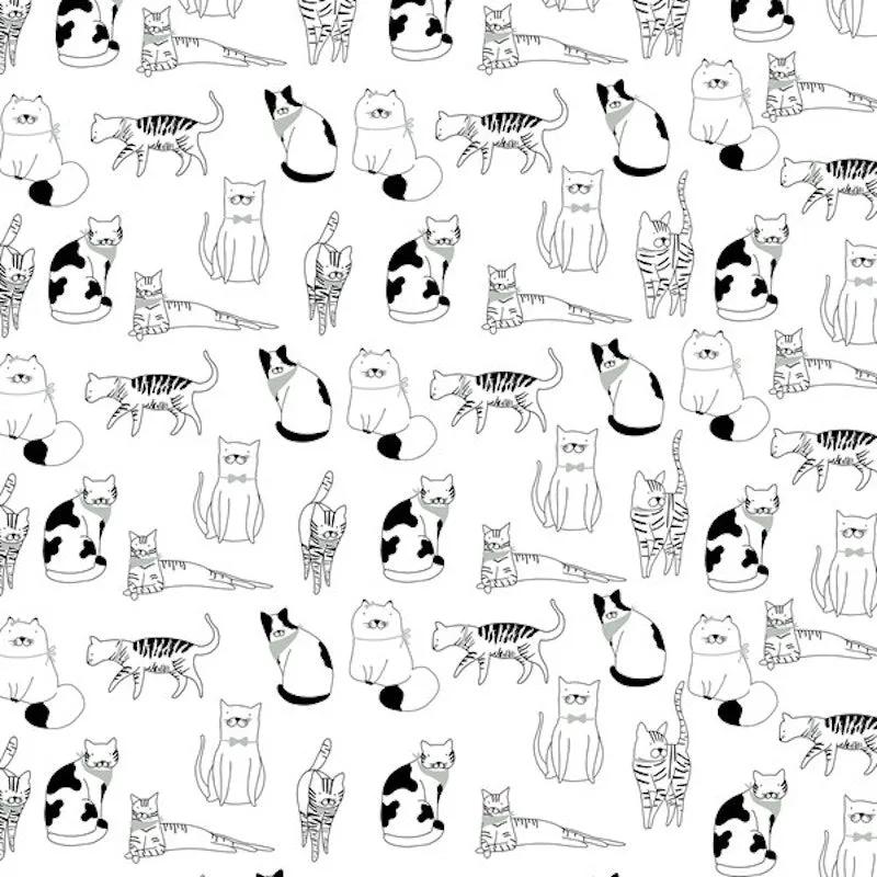 Playful Pets Cat Set of 2 Tea Towels