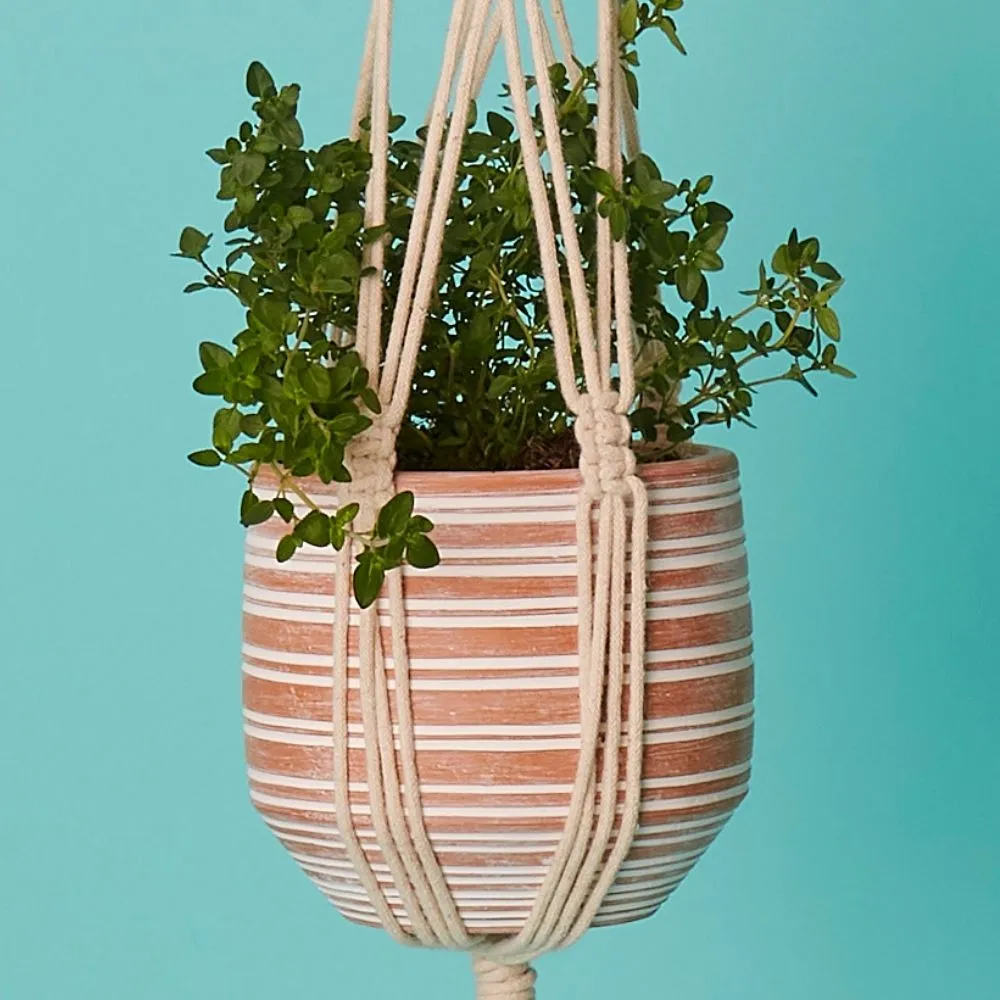 Striped Macrame Terracotta Hanging Pot