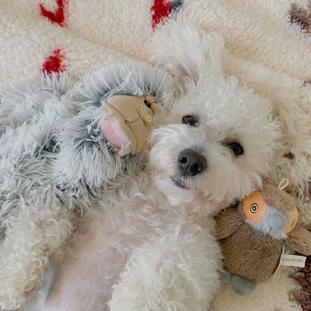 Tall Tails Dog Toy Plush Yeti