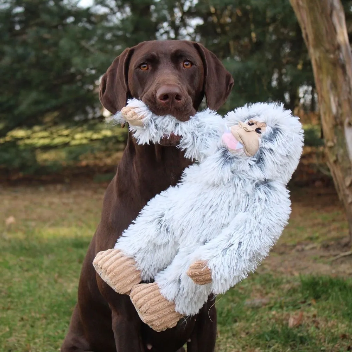 Tall Tails Dog Toy Plush Yeti